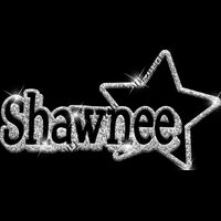 GLT17 SILVER GLITTER Thumbnail